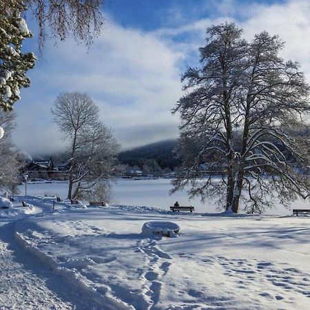 Waldblick Titisee Titisee-Neustadt Exterior foto