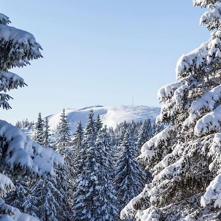 Waldblick Titisee Titisee-Neustadt Exterior foto