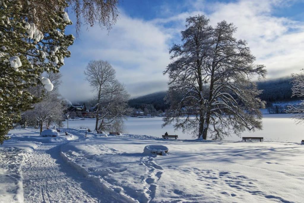 Waldblick Titisee Titisee-Neustadt Exterior foto