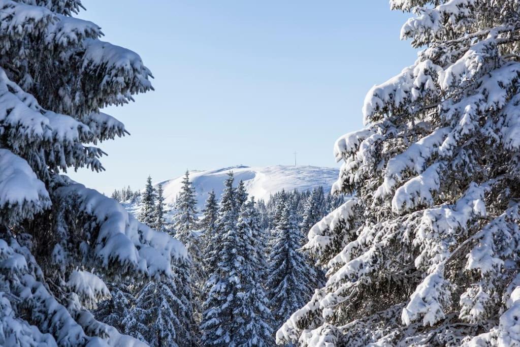 Waldblick Titisee Titisee-Neustadt Exterior foto