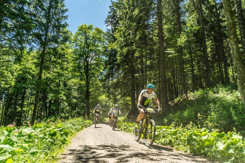 Waldblick Titisee Titisee-Neustadt Exterior foto